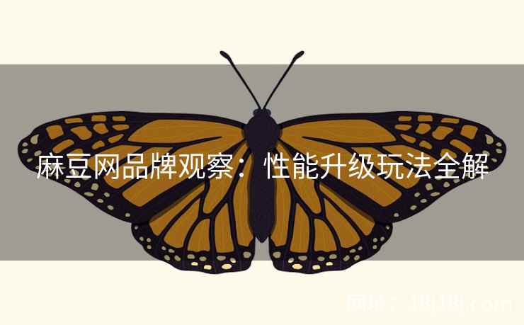 麻豆网品牌观察：性能升级玩法全解