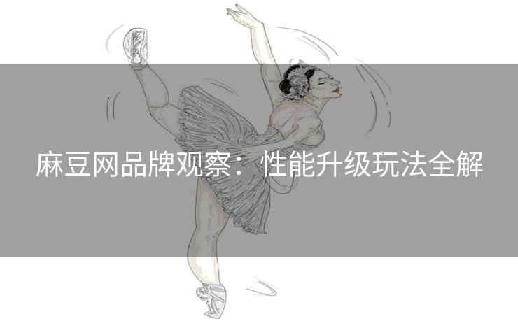 麻豆网品牌观察：性能升级玩法全解