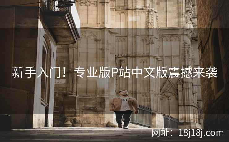 新手入门！专业版P站中文版震撼来袭