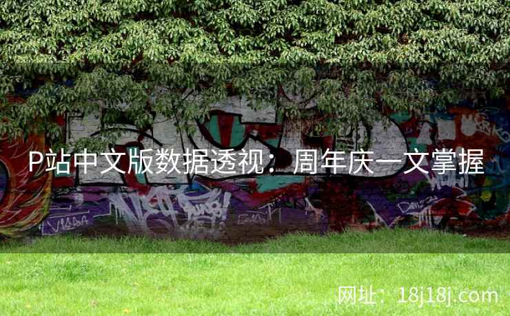 P站中文版数据透视:周年庆一文掌握 P站中文版数据透视:周年庆一文掌握