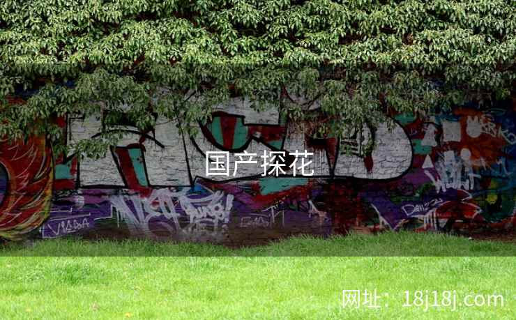 国产探花 国产探花