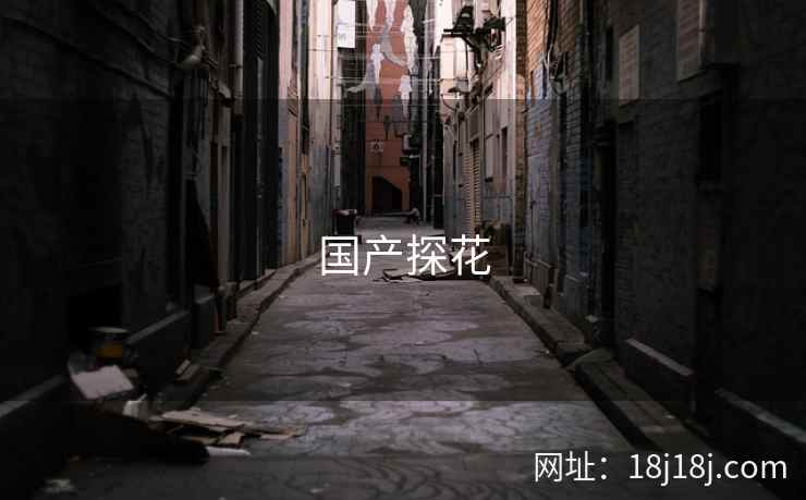 国产探花 国产探花