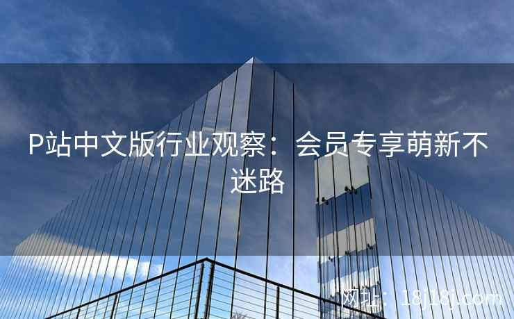 P站中文版行业观察：会员专享萌新不迷路