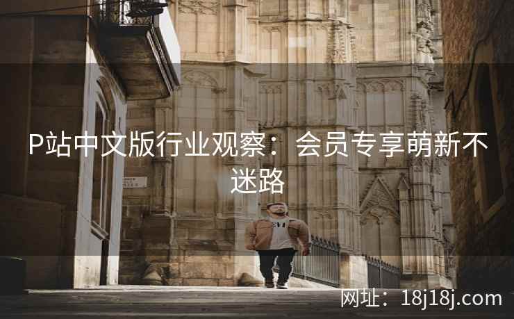 P站中文版行业观察：会员专享萌新不迷路