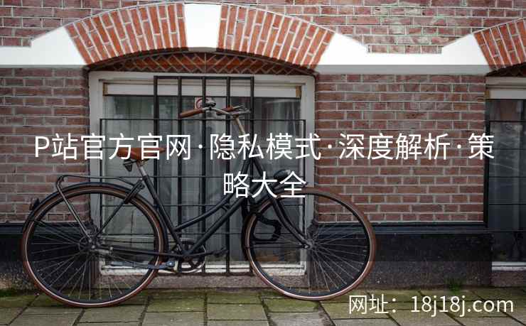 P站官方官网·隐私模式·深度解析·策略大全