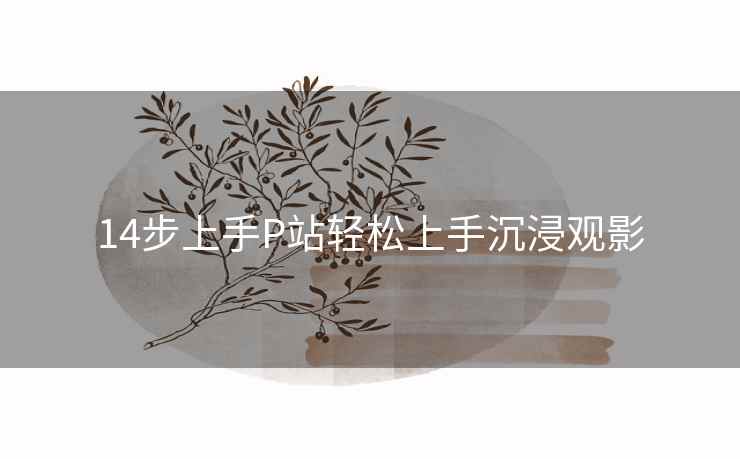 14步上手P站轻松上手沉浸观影