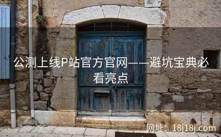 公测上线P站官方官网——避坑宝典必看亮点
