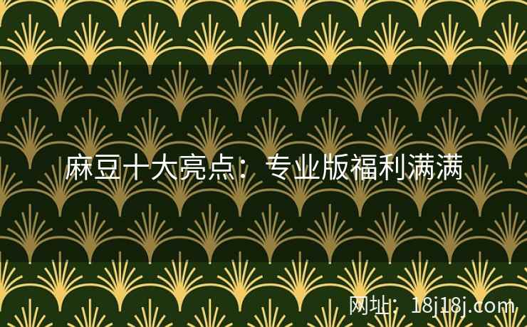麻豆十大亮点：专业版福利满满