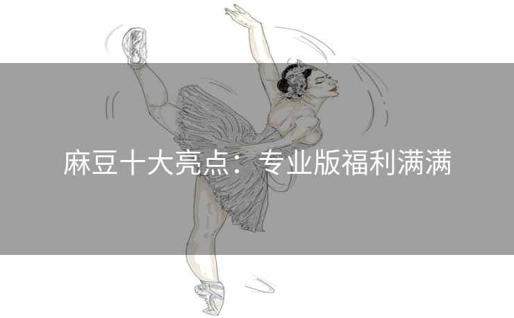 麻豆十大亮点：专业版福利满满