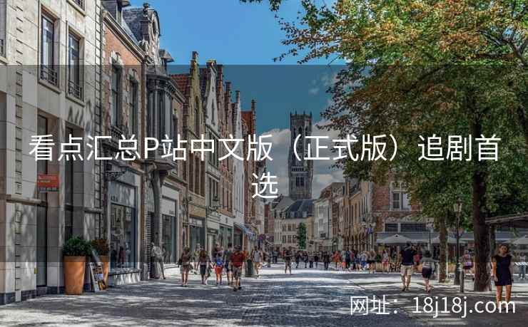 看点汇总P站中文版（正式版）追剧首选