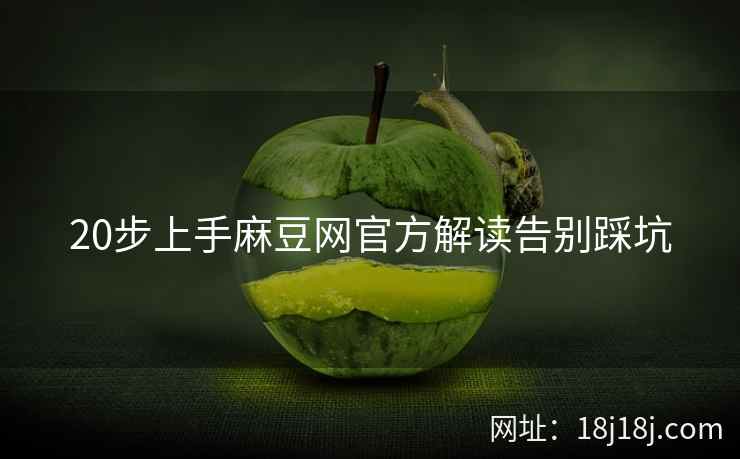 20步上手麻豆网官方解读告别踩坑