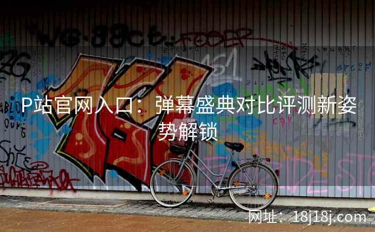 P站官网入口：弹幕盛典对比评测新姿势解锁